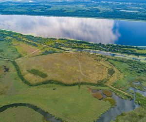 Новини громадянського суспільства, 15 січня