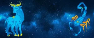Совместимость Тельца и Скорпиона в процентах