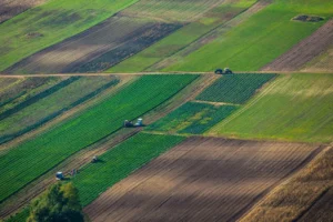 Вартість землі по областях України: ціни та динаміка ринку у 2026 році