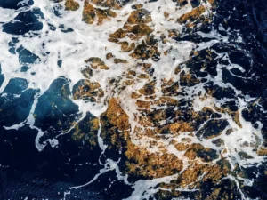Где находится Саргассово море: точное расположение, границы и уникальность самой загадочной акватории Атлантики
