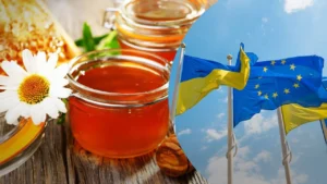 Експорт меду з україні 2026: повний гід для початківців і професіоналів
