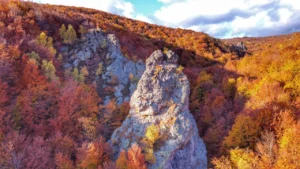Куди поїхати в Карпати восени: найкращі місця