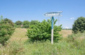 Що таке гай: визначення, історія та значення