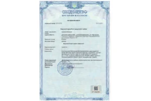 До какого года можно проверить диплом в Украине: полный гид 2026