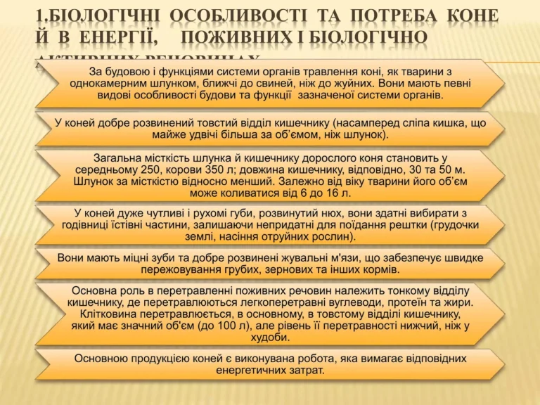 Добова норма солі для свиней
