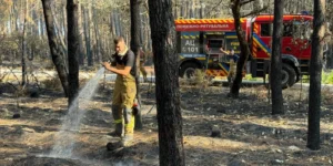 Український пожежник гасить тліючу землю в сосновому лісі біля червоної пожежної машини