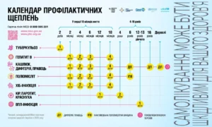Скільки цукру можна їсти в день: норми, приховані джерела та реальний баланс у 2026 році