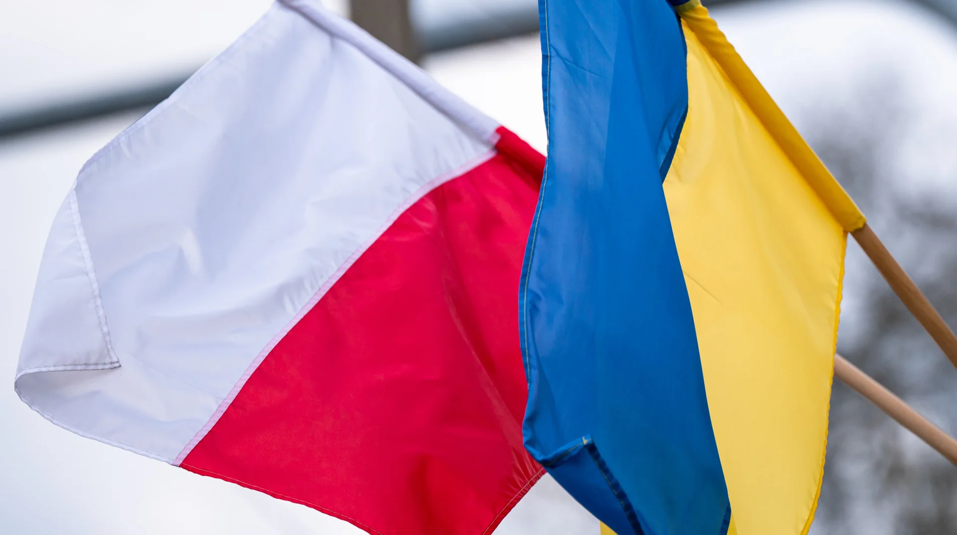 Польський і український прапори майорять на флагштоках на розмитому тлі
