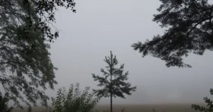 16 вересня в Україні буде сухо й тепло
